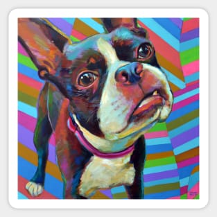 Psychedelic BOSTON TERRIER Sticker